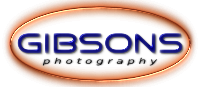 Gibsons Photography - one of the UK's longest estabished and most experienced studios